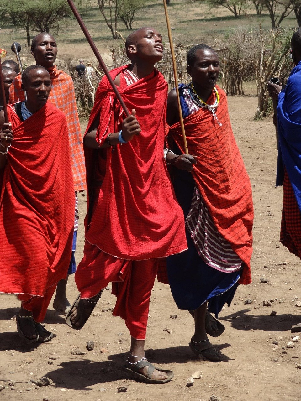 masai, dances, red, blue, masai, masai, masai, masai, masai